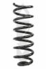 SPIDAN 86704 Coil Spring